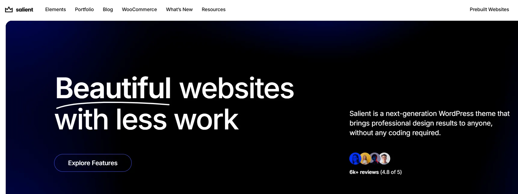 Salient creative WordPress theme Salient creative WordPress theme