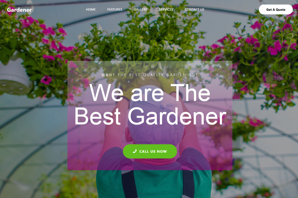 10 Basic Website Design Ideas You Can Launch Today with Element Pack