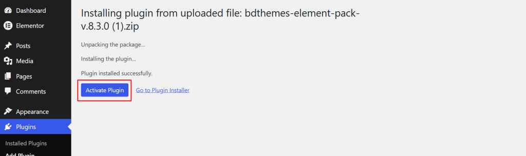 click on the Activate plugin button