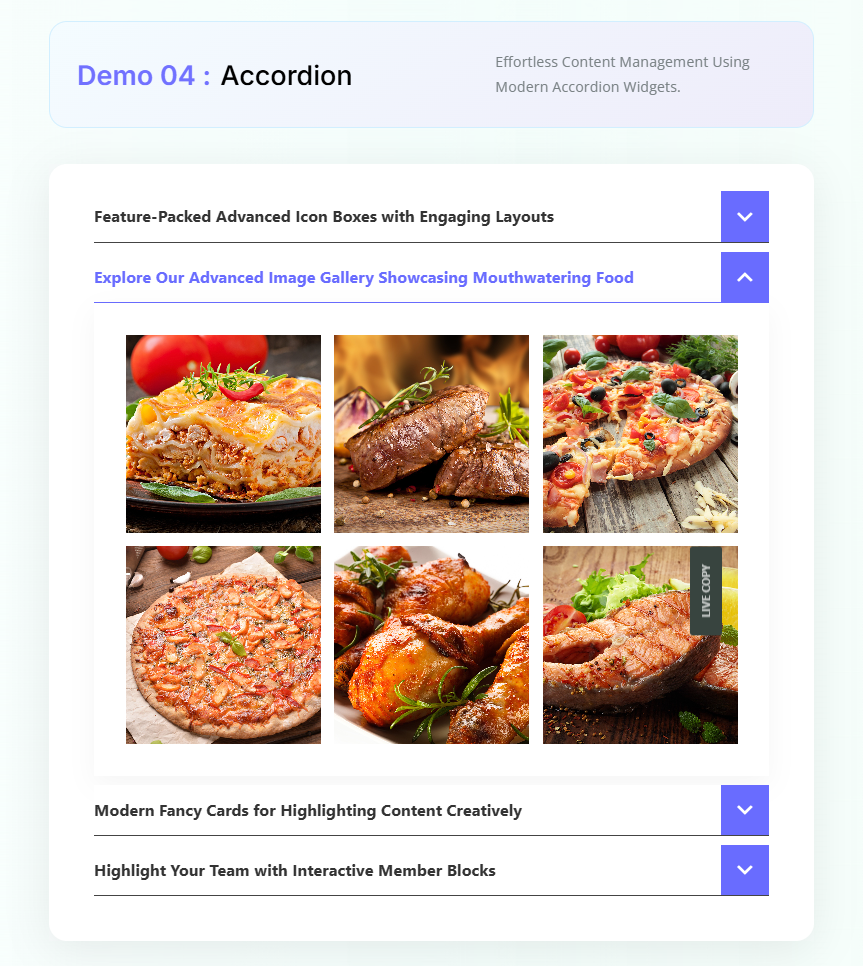 Accordion 04: Effortless Content Management Using Modern Accordion Widgets.