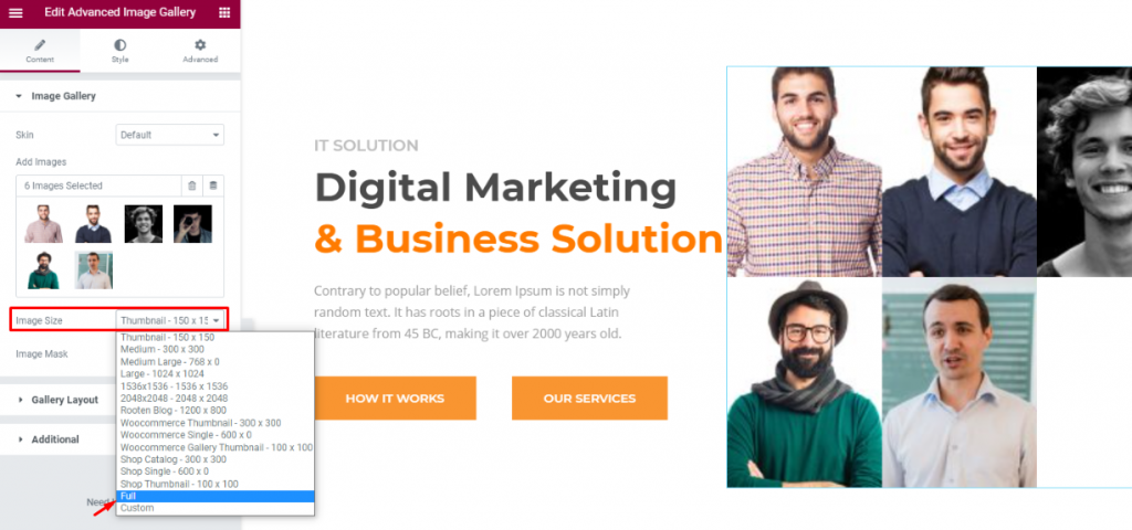 How To Add An Animated WordPress Gallery To Your Website How To Add An Animated WordPress Gallery To Your Website