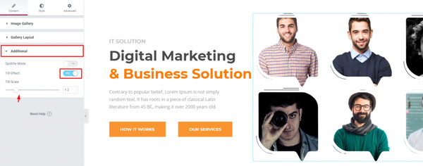 How To Add An Animated WordPress Gallery To Your Website