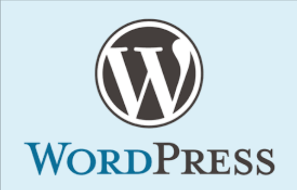 WordPress Website Building