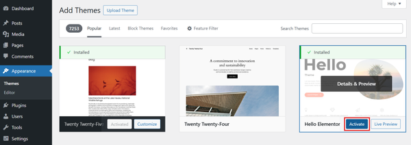 installing and activating new theme on WordPress website