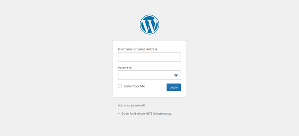 Log into your WordPress dashboard