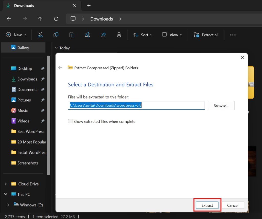 extract wordpress zip files