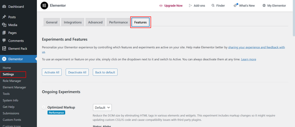 Enabling Elementor Container Feature