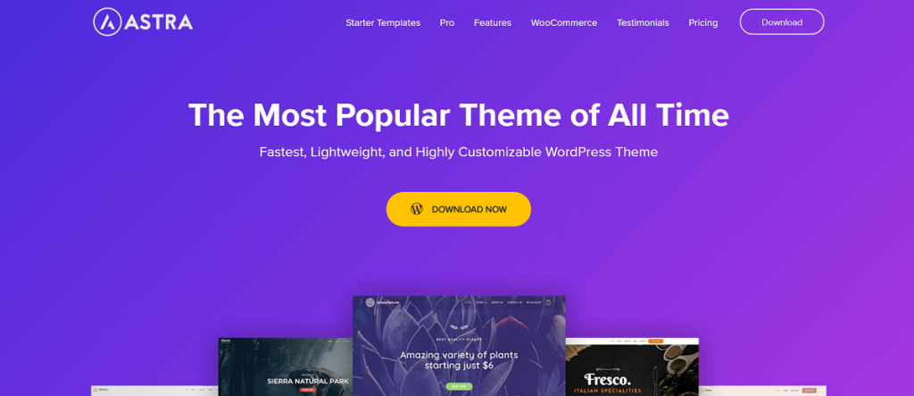 Top 20 Gutenberg Compatible WordPress Themes