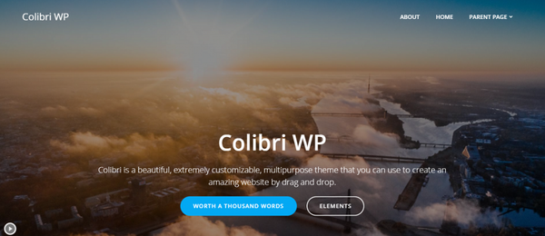 Top 20 Gutenberg Compatible WordPress Themes Top 20 Gutenberg Compatible WordPress Themes