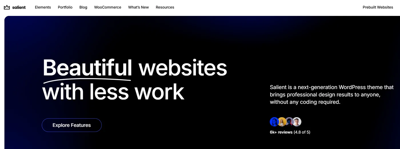Salient creative WordPress theme demo Salient creative WordPress theme demo
