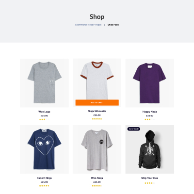 Shop Page 01