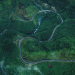 National Forest between into The Road