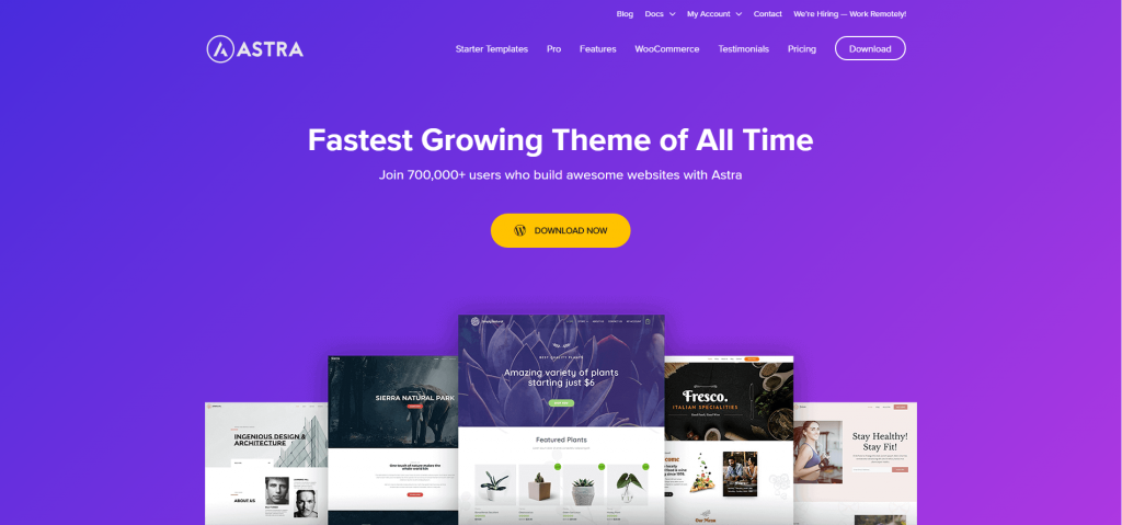 Astra Theme is one of the best themes for Elementor.